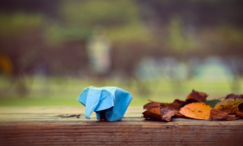 , , origami, , , elephant, paper, leaves, 