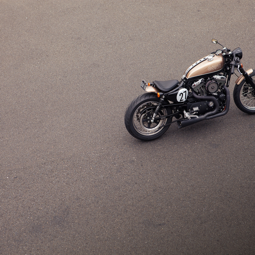 harley davidson sportster 1200,  