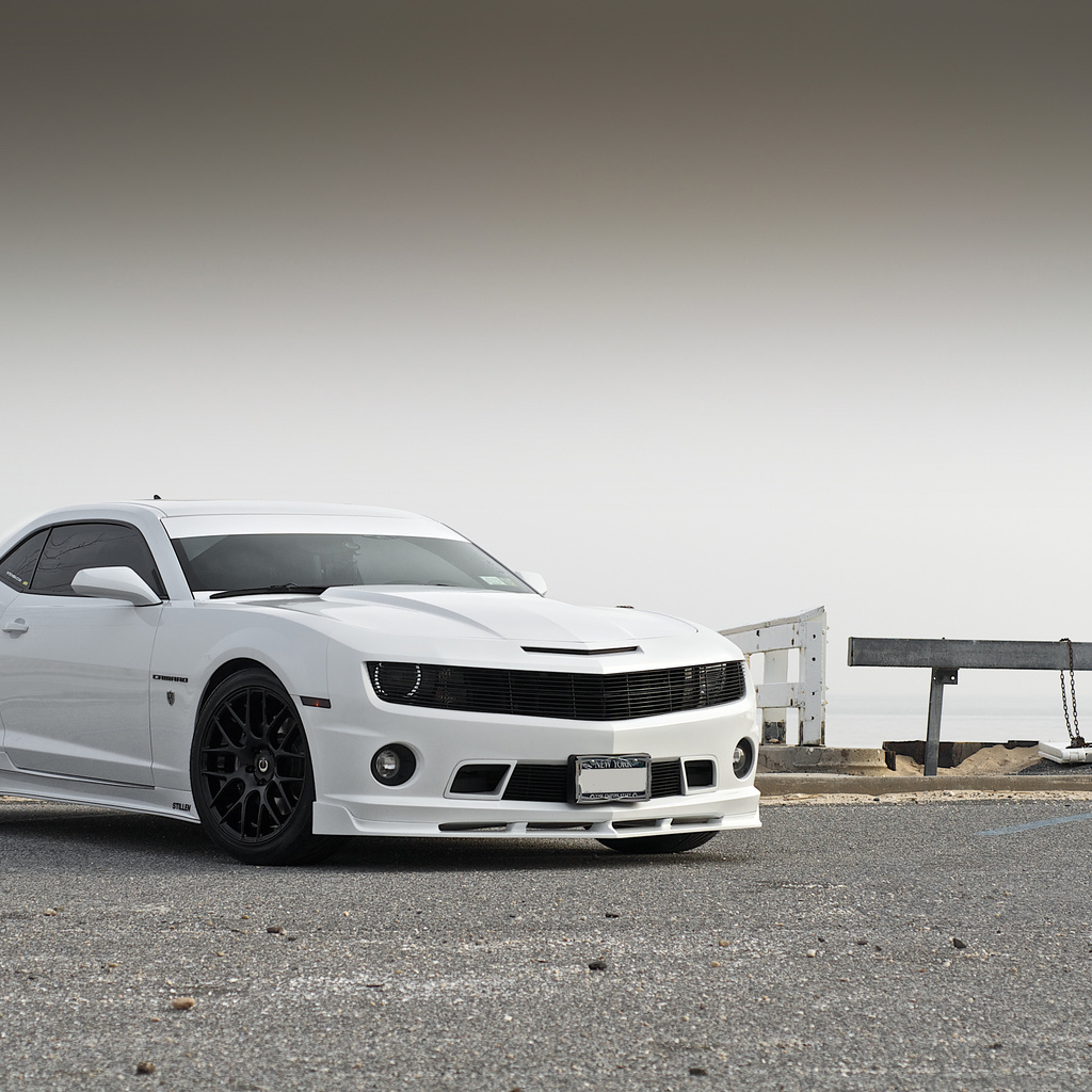 , , , Chevrolet, stillen, , camaro, white