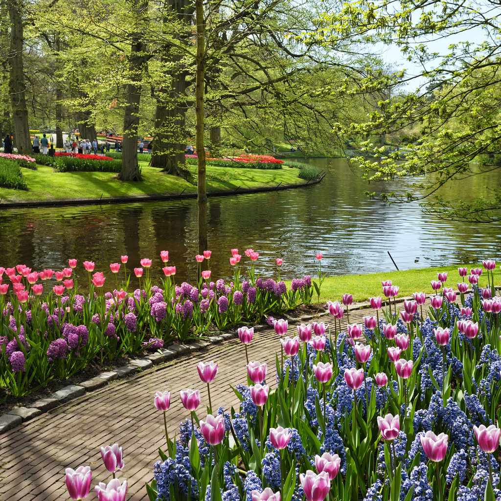 netherlands, , , , Keukenhof, garden of europe