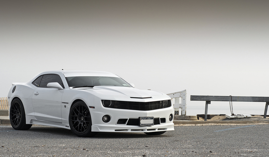 , , , Chevrolet, stillen, , camaro, white