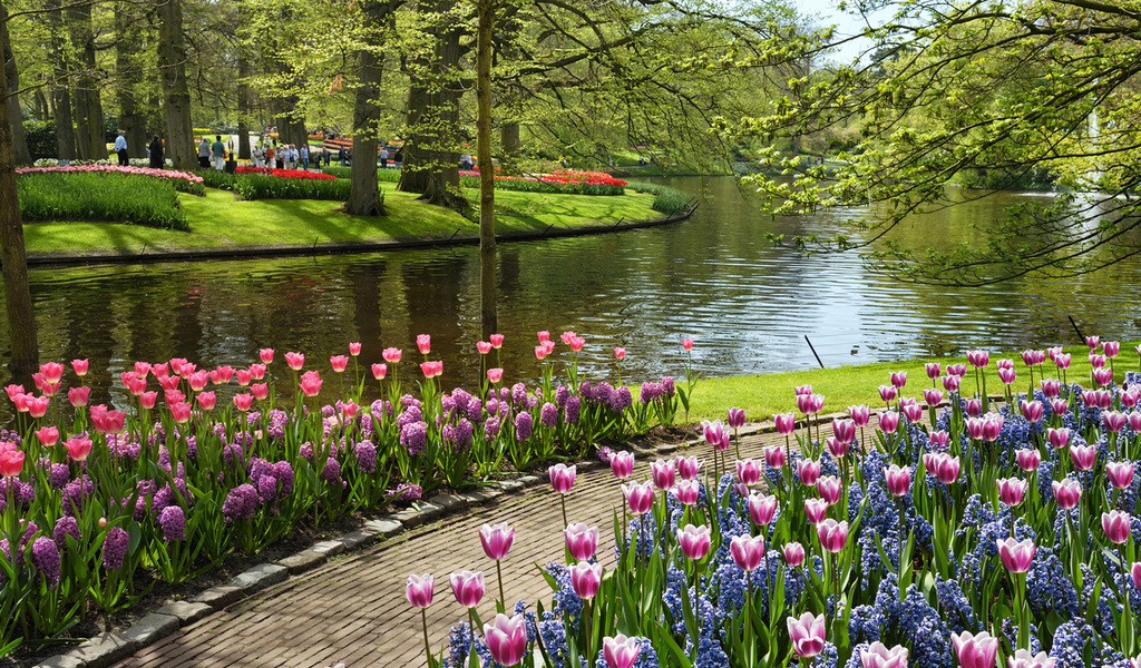 netherlands, , , , Keukenhof, garden of europe