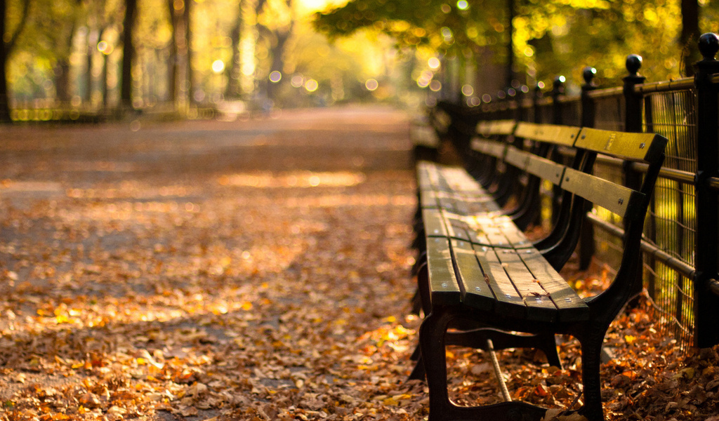 -, central park, new york, autumn, , sunset