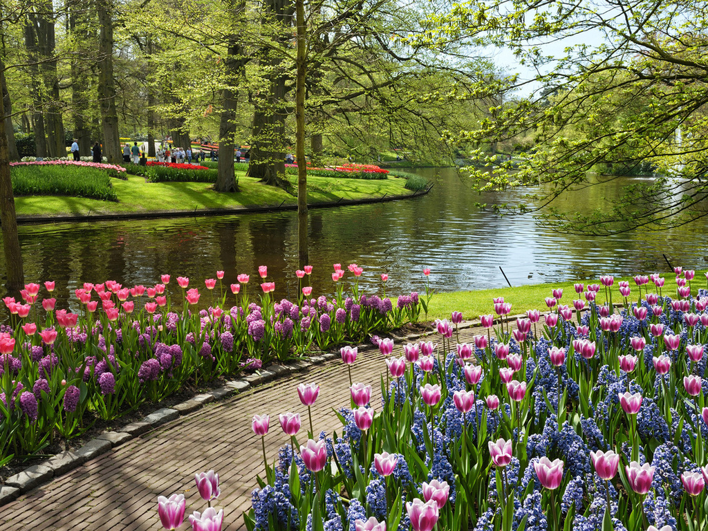 netherlands, , , , Keukenhof, garden of europe