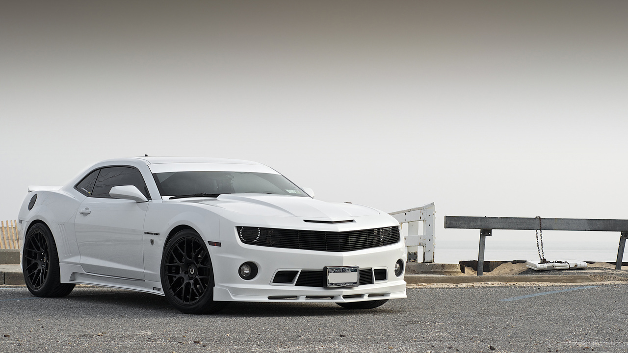 , , , Chevrolet, stillen, , camaro, white