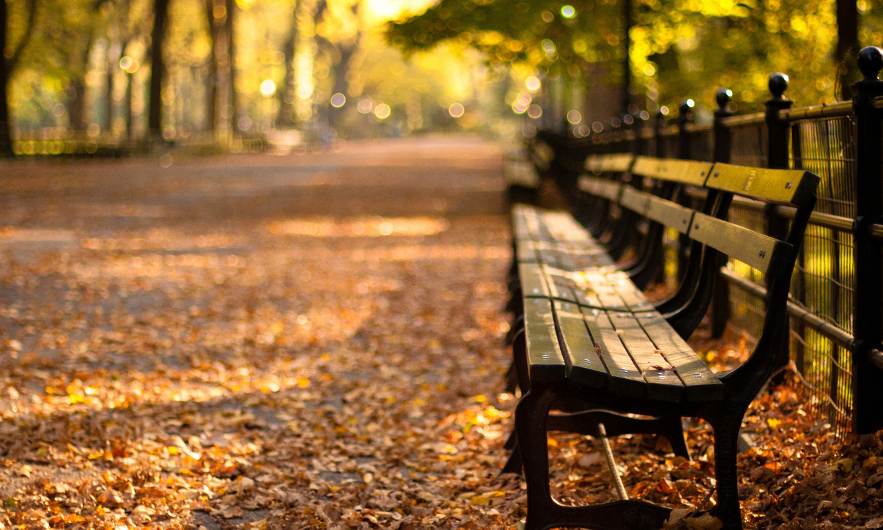 -, central park, new york, autumn, , sunset