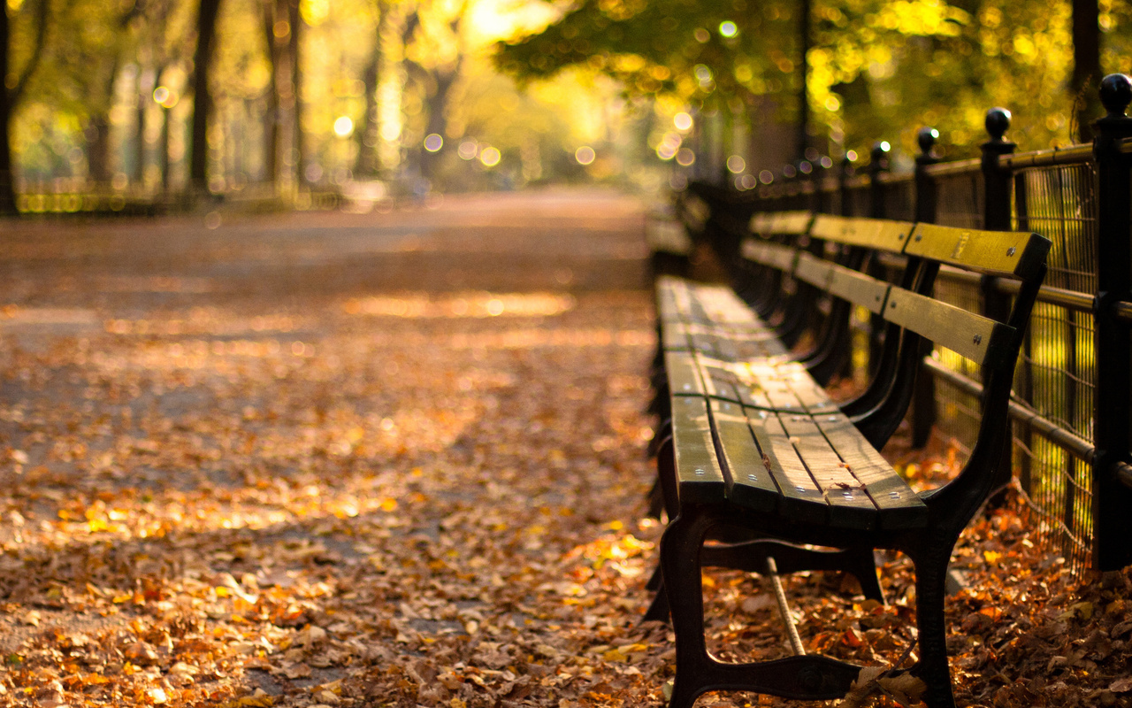 -, central park, new york, autumn, , sunset