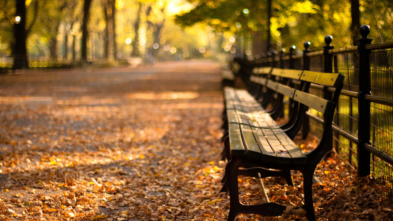 -, central park, new york, autumn, , sunset