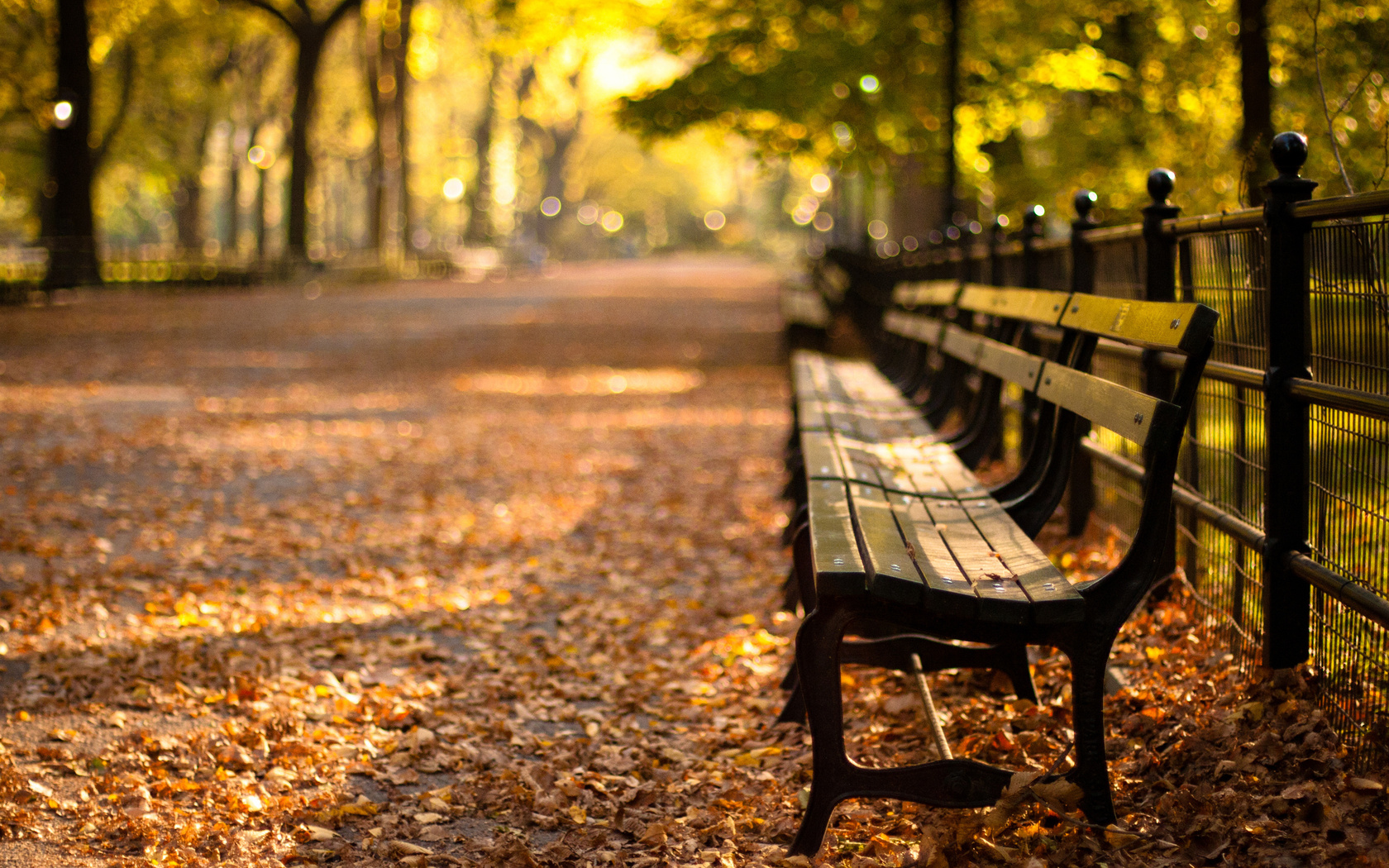 -, central park, new york, autumn, , sunset