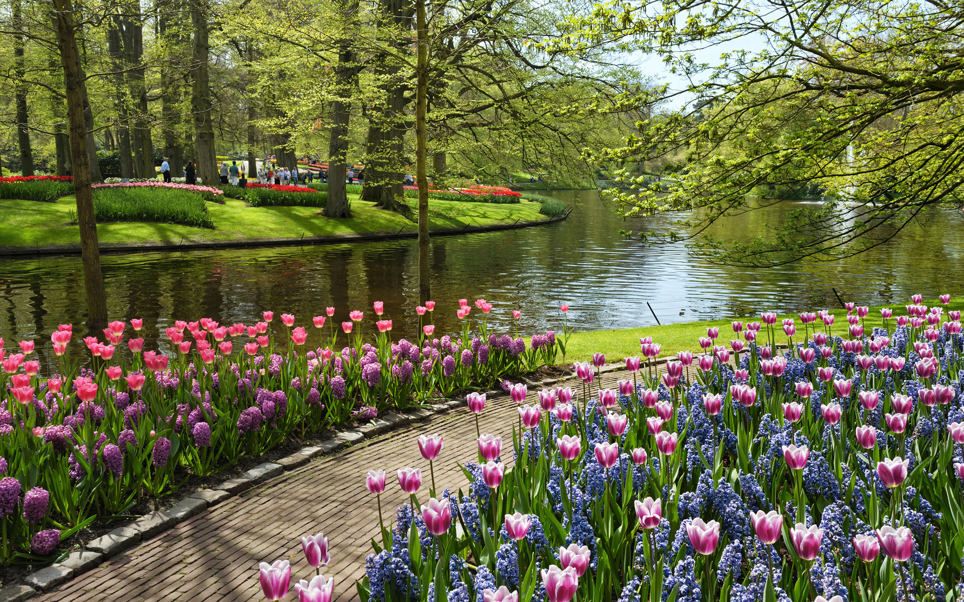 netherlands, , , , Keukenhof, garden of europe