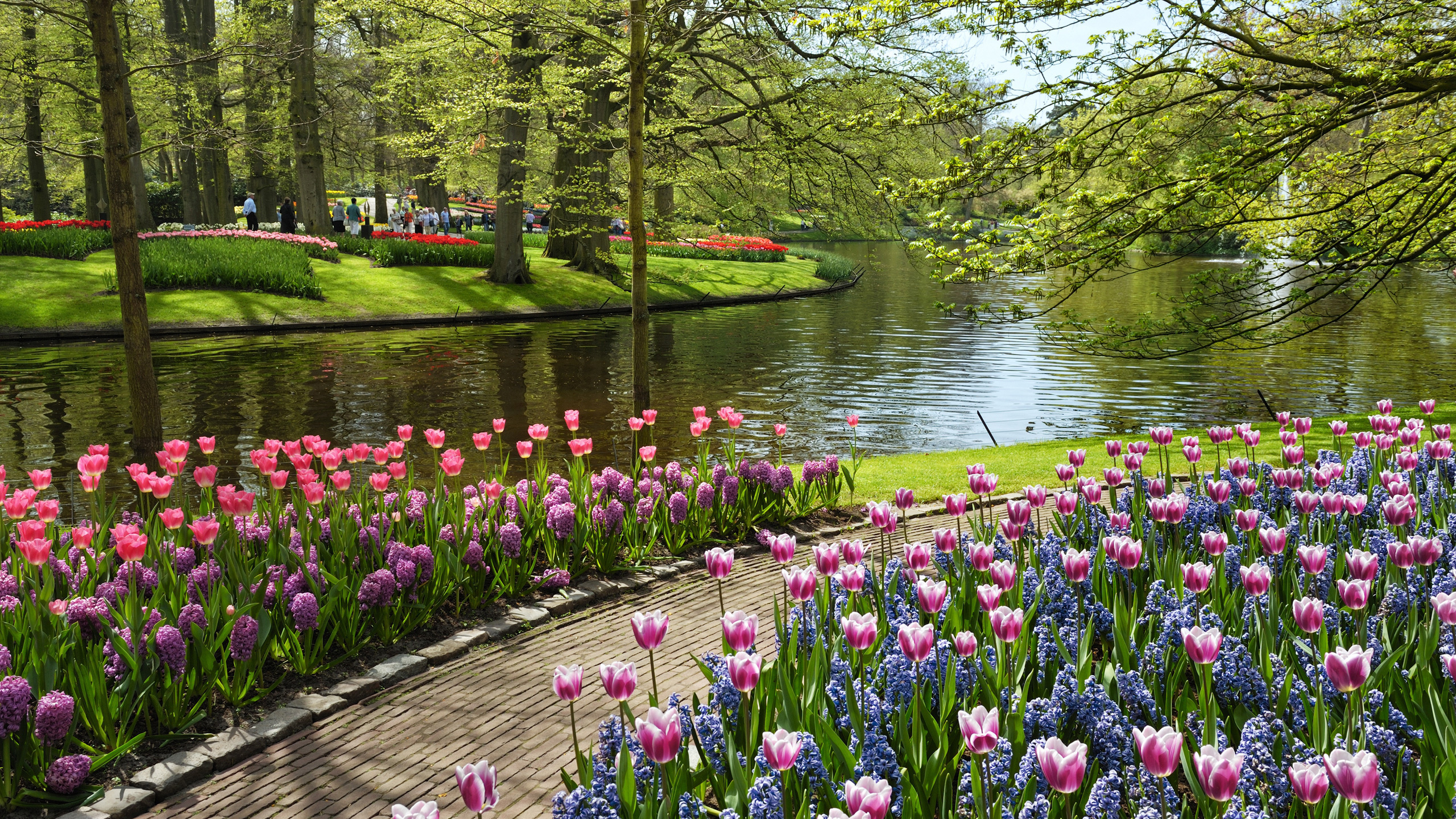 netherlands, , , , Keukenhof, garden of europe