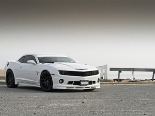 , , , Chevrolet, stillen, , camaro, white