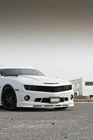 , , , Chevrolet, stillen, , camaro, white