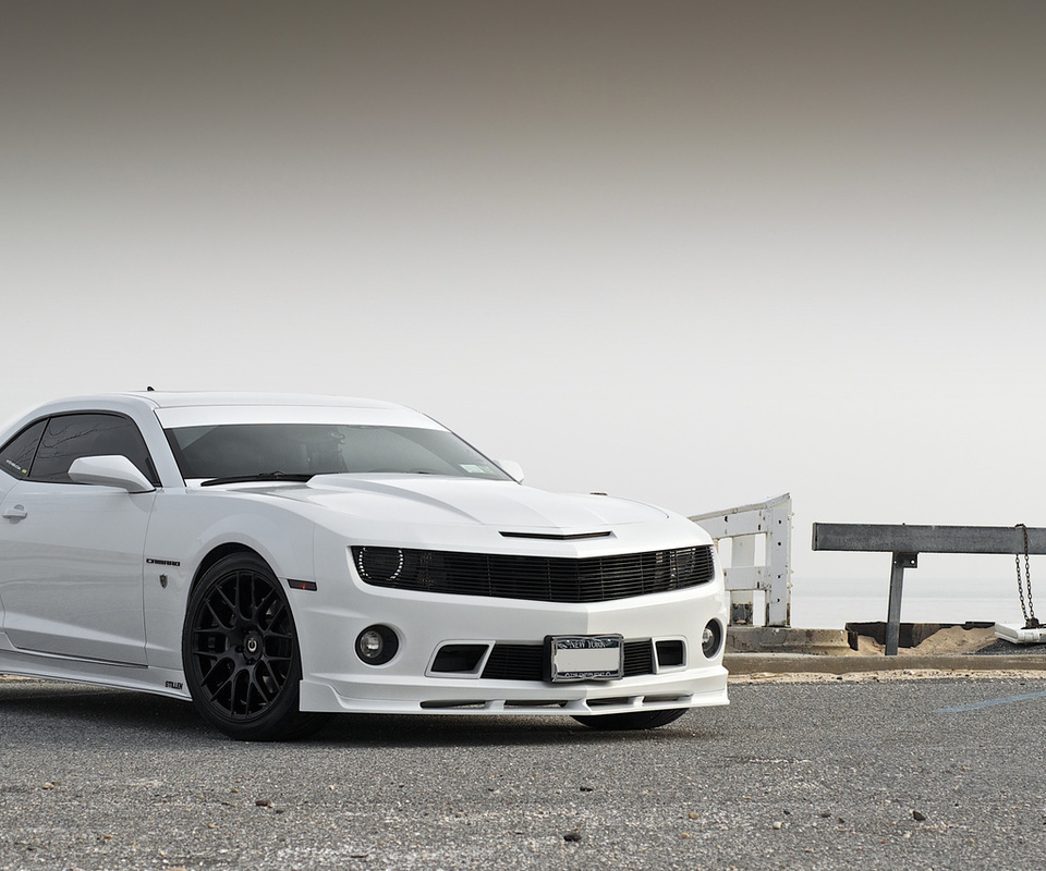 , , , Chevrolet, stillen, , camaro, white