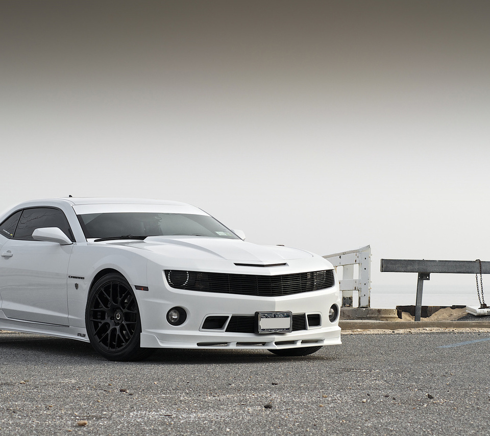 , , , Chevrolet, stillen, , camaro, white