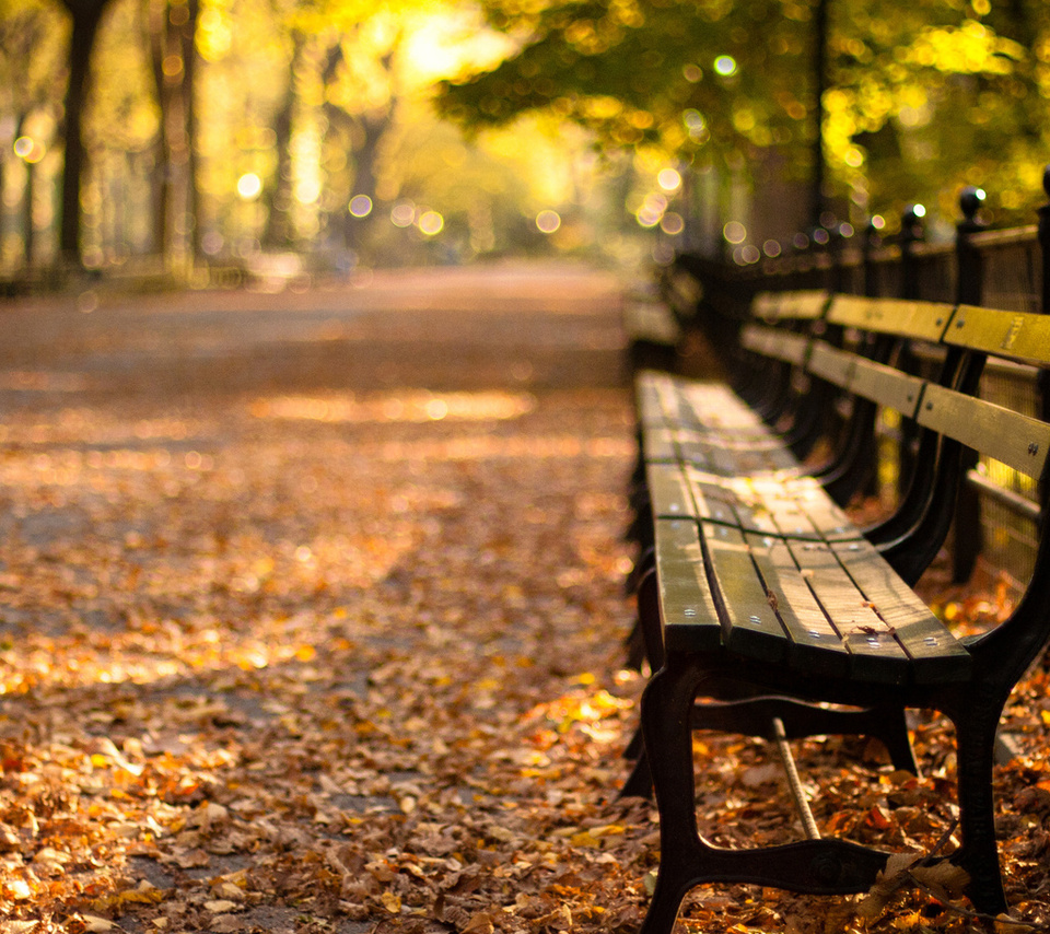 -, central park, new york, autumn, , sunset