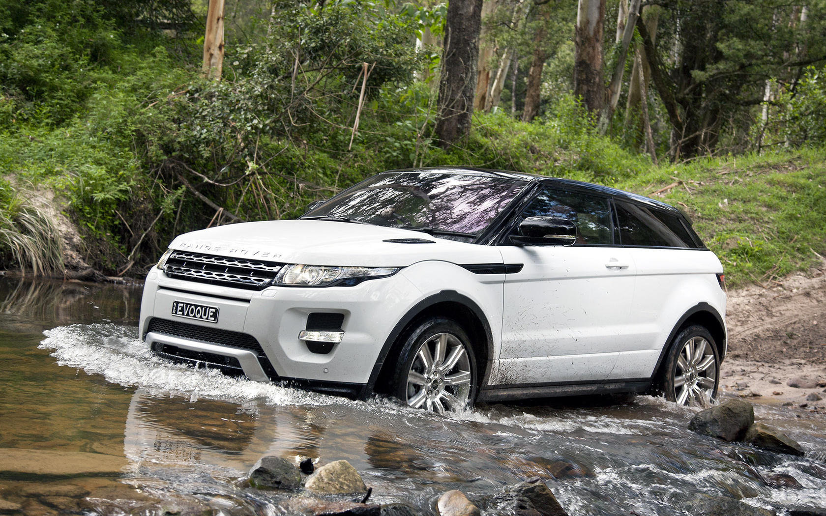  ,  , coupe, Land rover, evoque, dynamic, range rover, 