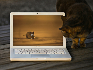 , macbook, , , 