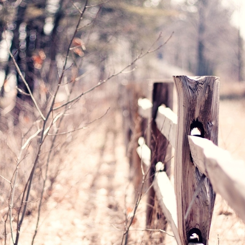 macro, bokeh, , , blur, warm, fence