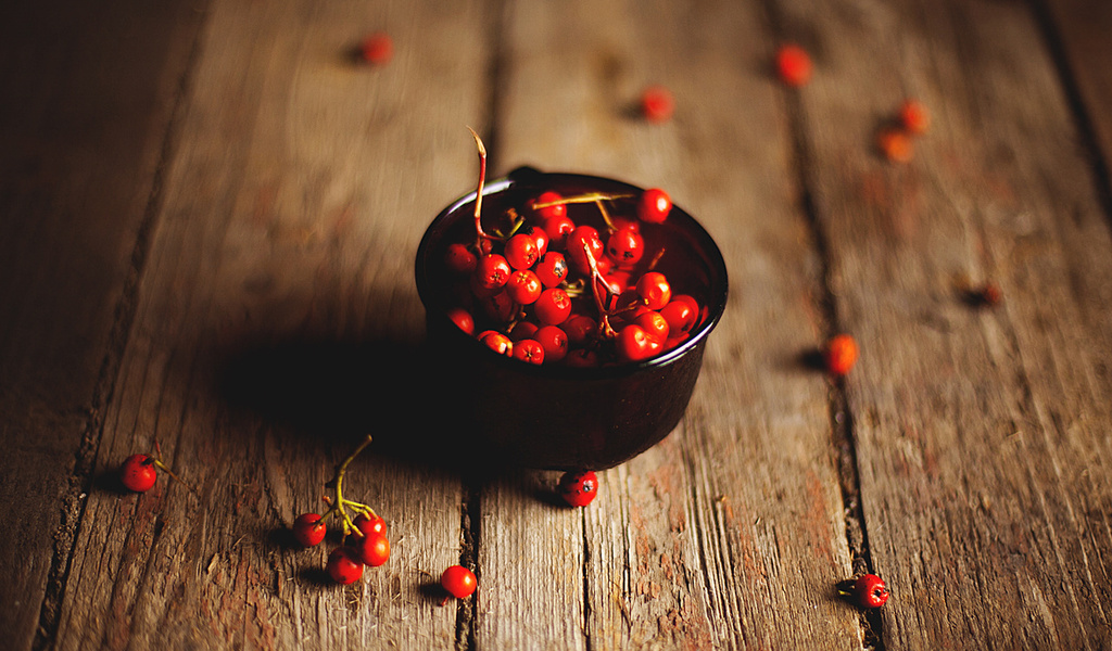 rowanberry, , , 