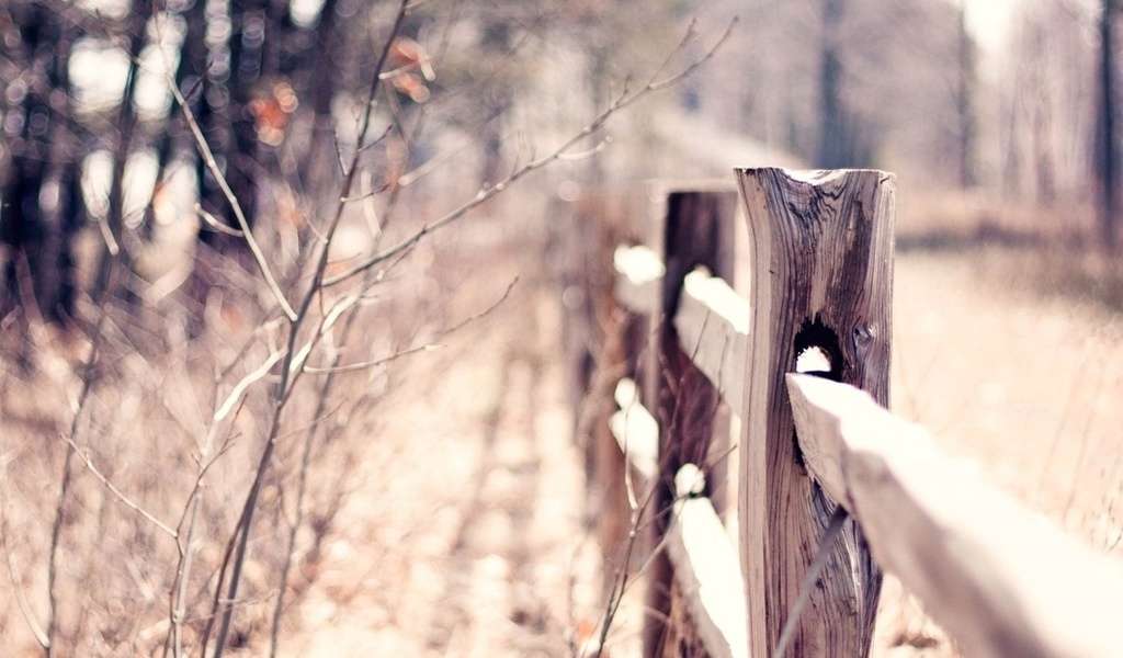 macro, bokeh, , , blur, warm, fence