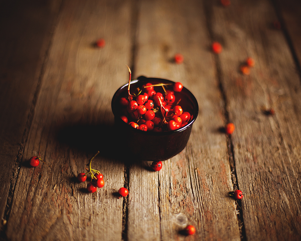 rowanberry, , , 