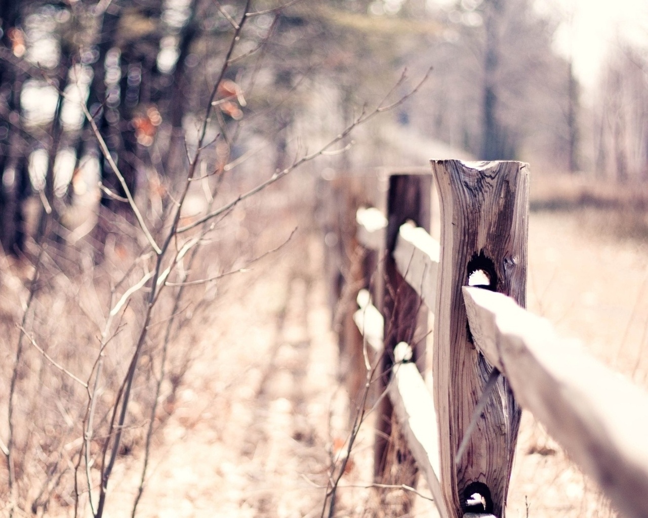 macro, bokeh, , , blur, warm, fence