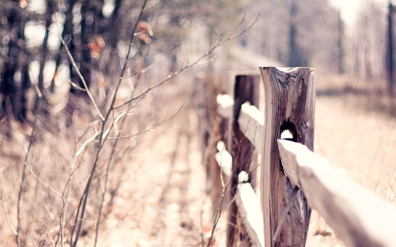 macro, bokeh, , , blur, warm, fence