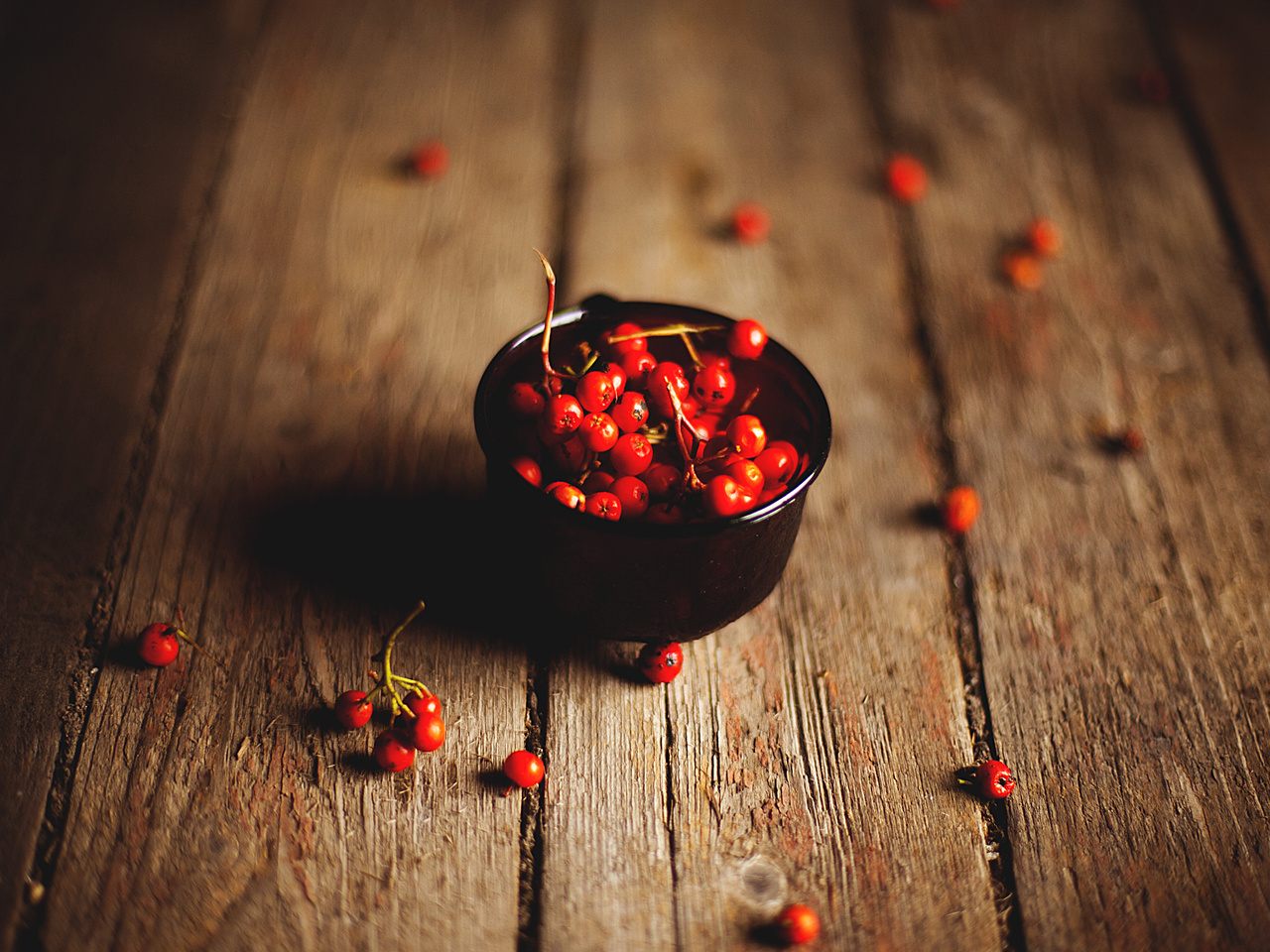 rowanberry, , , 