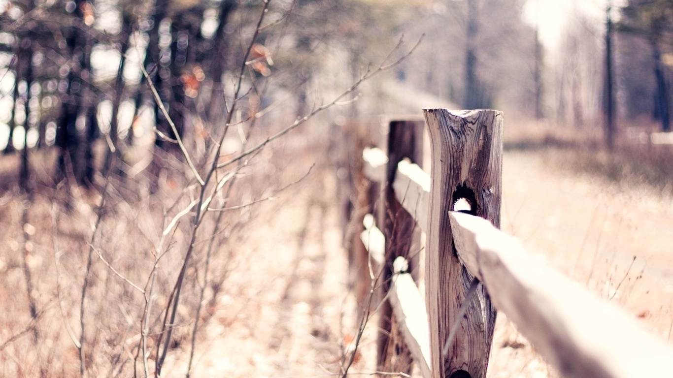 macro, bokeh, , , blur, warm, fence