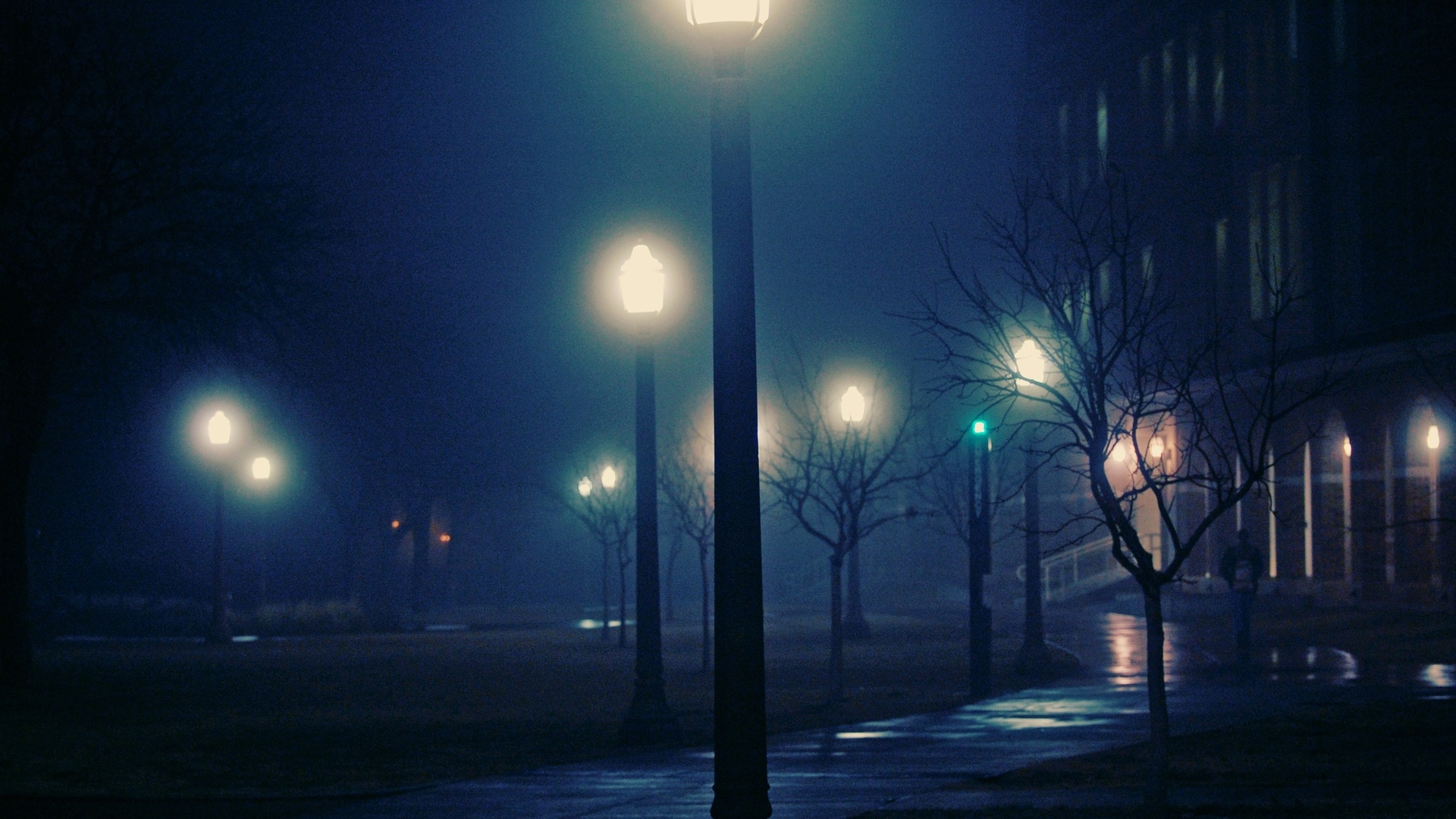 , night, foggy, , , 