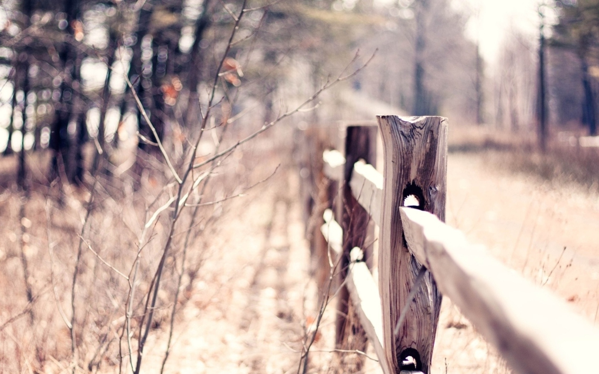 macro, bokeh, , , blur, warm, fence