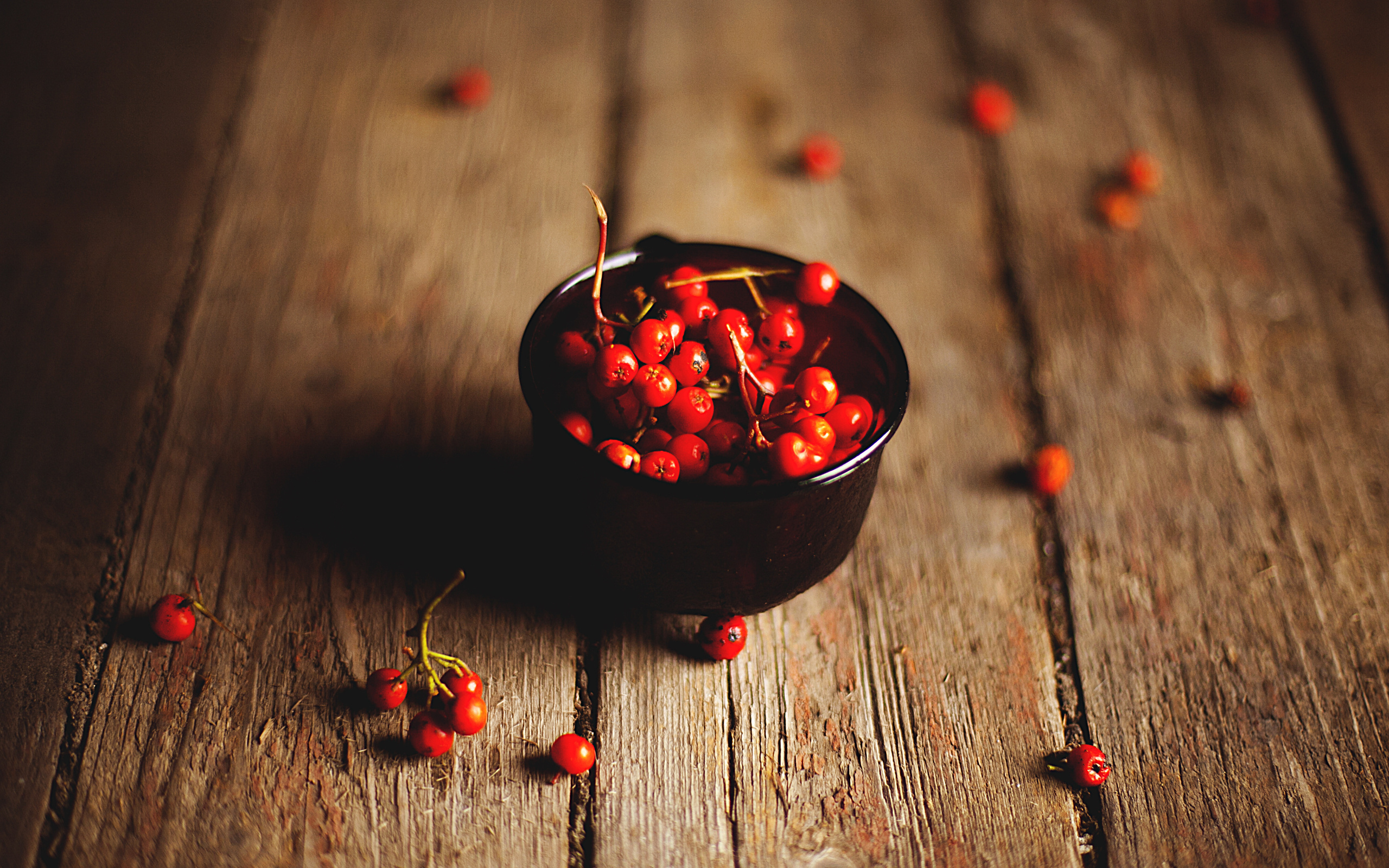 rowanberry, , , 