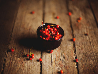 rowanberry, , , 