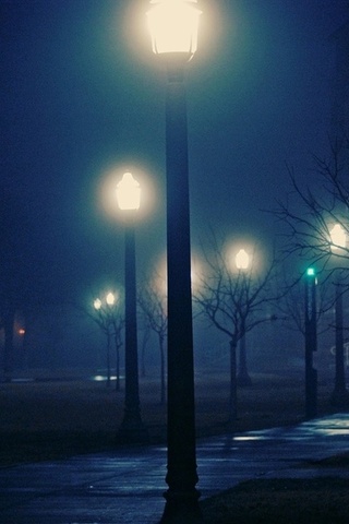 , night, foggy, , , 