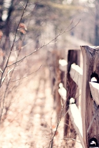 macro, bokeh, , , blur, warm, fence