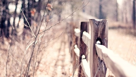 macro, bokeh, , , blur, warm, fence