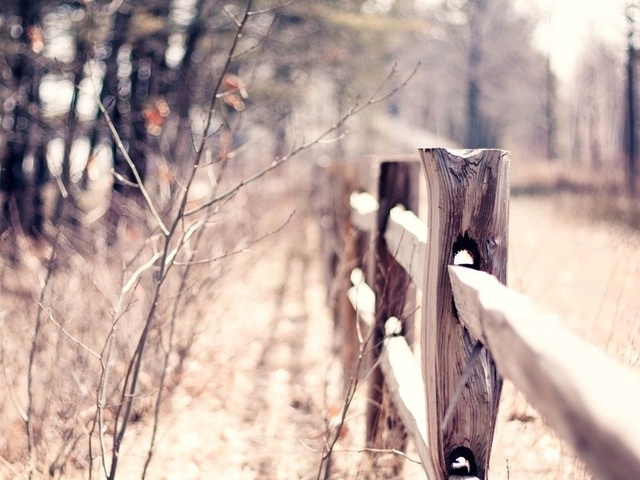 macro, bokeh, , , blur, warm, fence