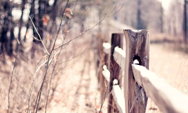 macro, bokeh, , , blur, warm, fence