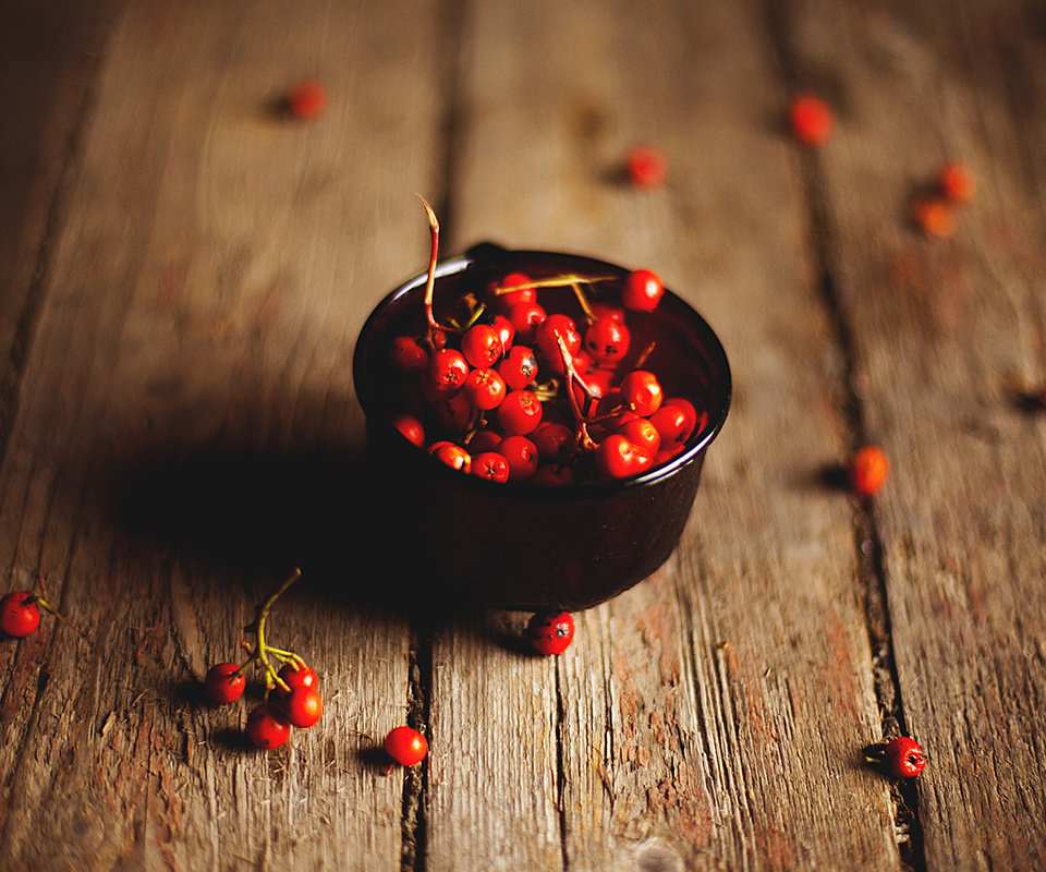 rowanberry, , , 