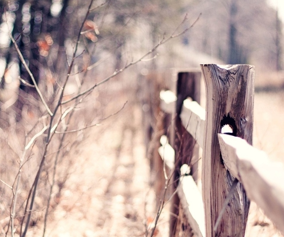 macro, bokeh, , , blur, warm, fence