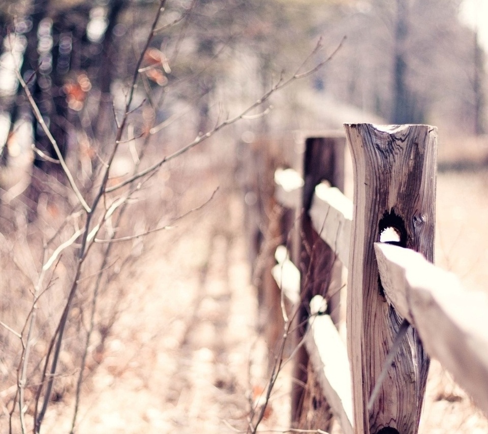 macro, bokeh, , , blur, warm, fence