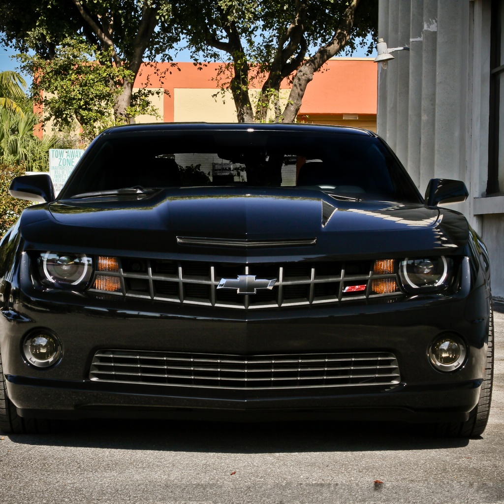 chevrolet, camaro ss, black, , street