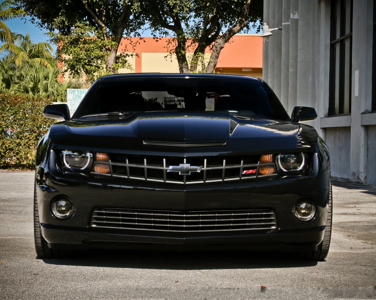 chevrolet, camaro ss, black, , street