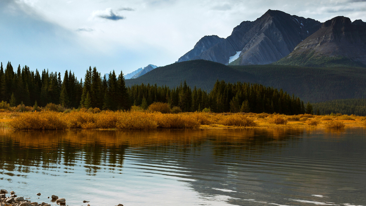 forest, alberta, sky, blue, canada, mountains, autumn, trees, lake