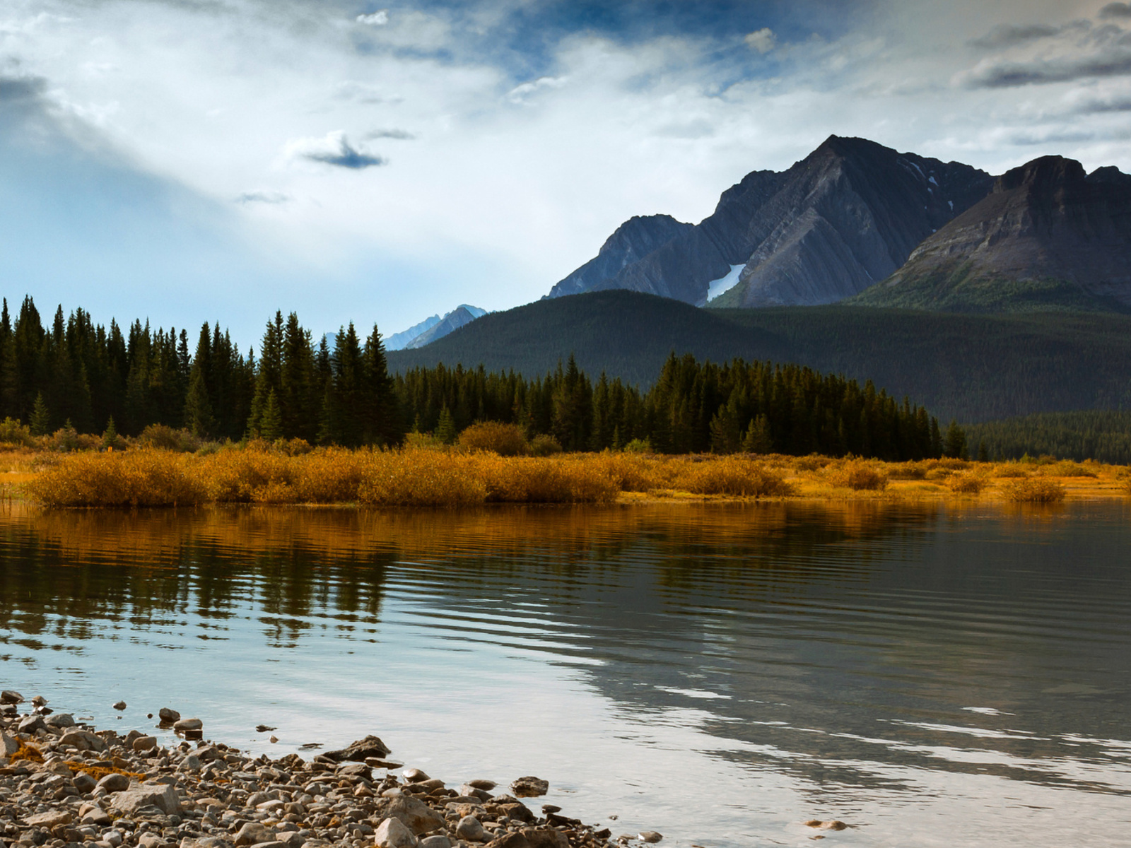 forest, alberta, sky, blue, canada, mountains, autumn, trees, lake