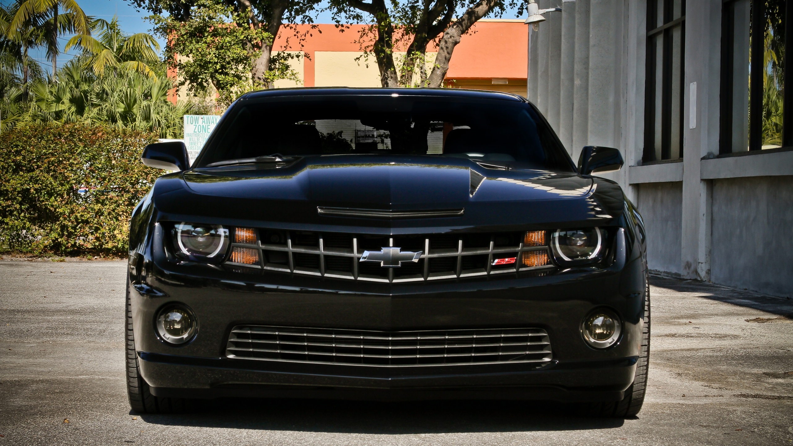 chevrolet, camaro ss, black, , street