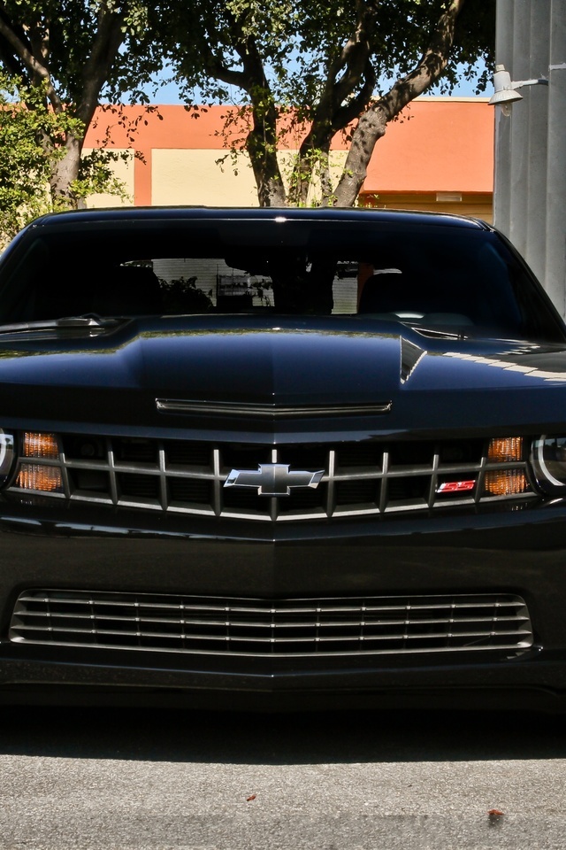 chevrolet, camaro ss, black, , street