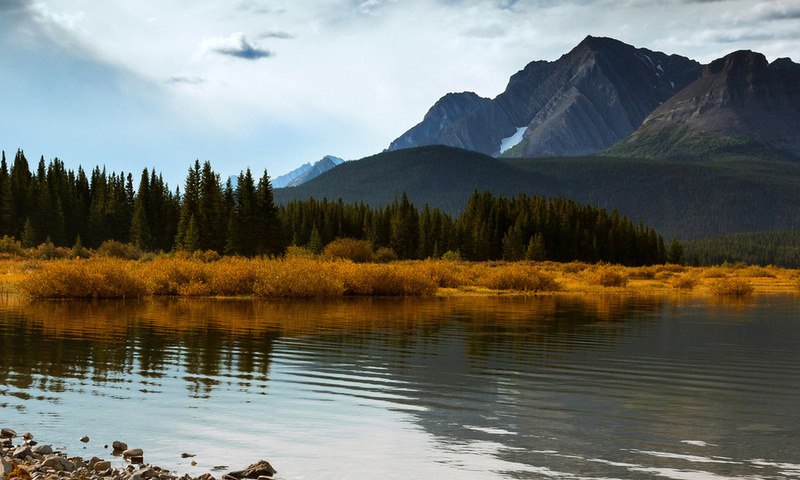 forest, alberta, sky, blue, canada, mountains, autumn, trees, lake