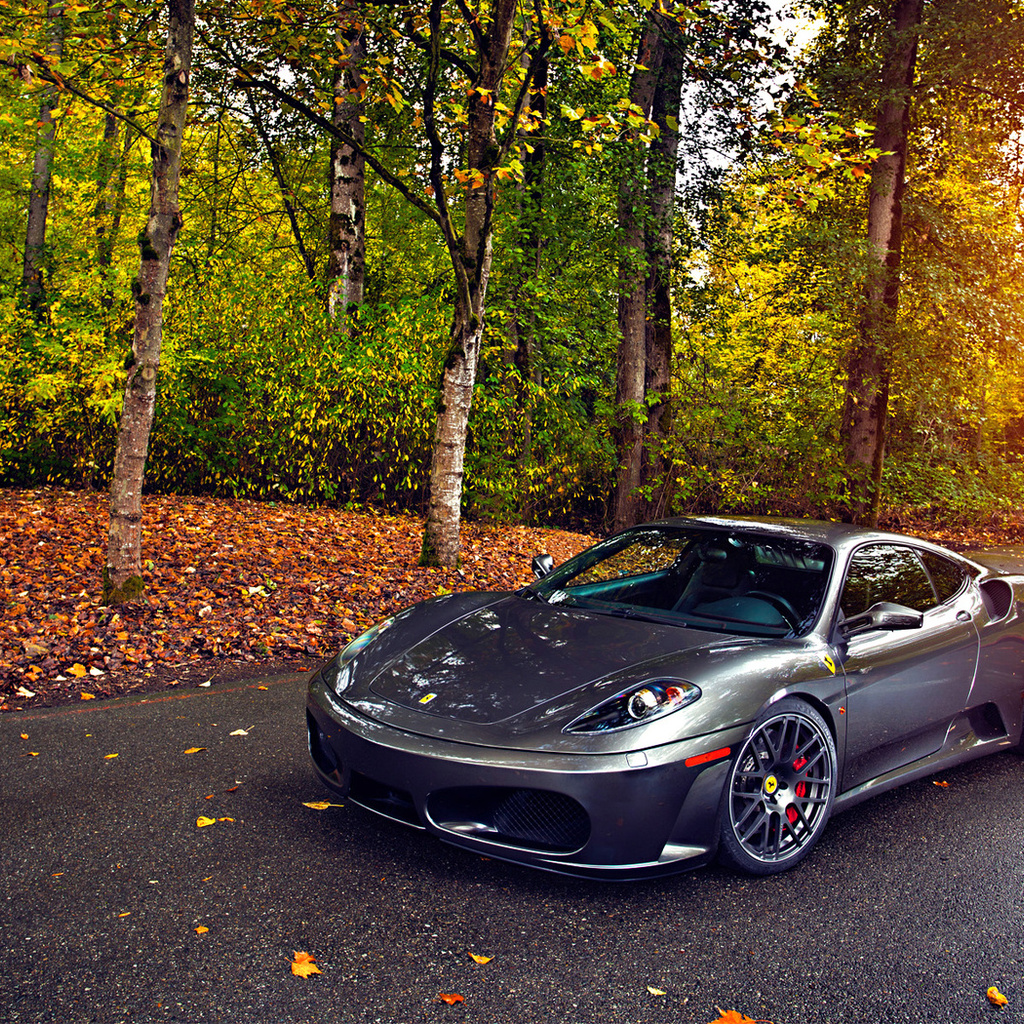 430, tuning, autumn, leaf, green, silver, sun, ferrari, wheels, trees